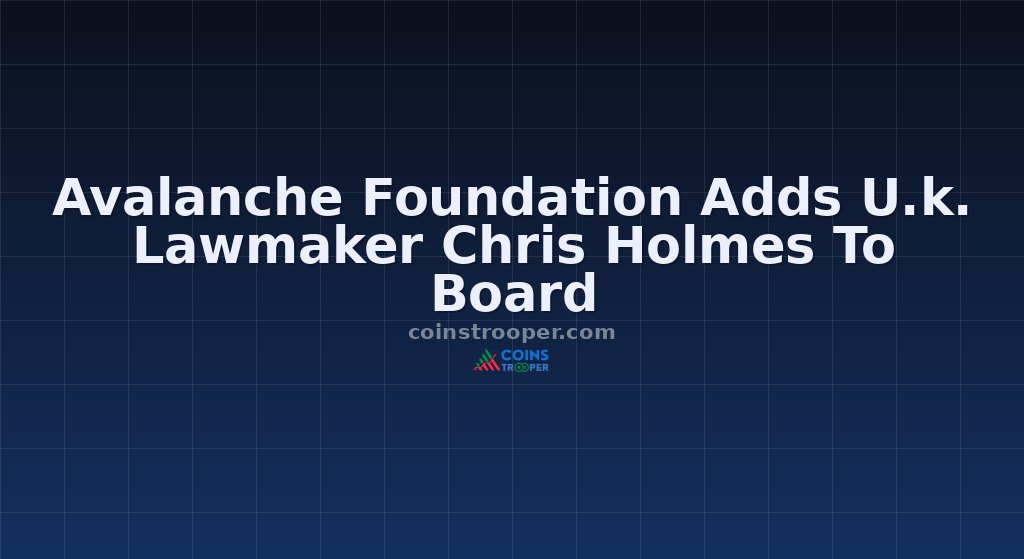 Avalanche Foundation Adds U.k. Lawmaker Chris Holmes To Board