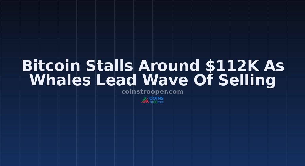 Bitcoin Stalls Around $112K As Whales Lead Wave Of Selling