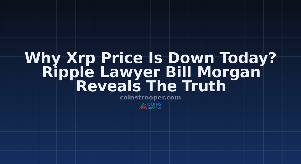 Why Xrp Price Is Down Today? Ripple Lawyer Bill Morgan Reveals The Truth