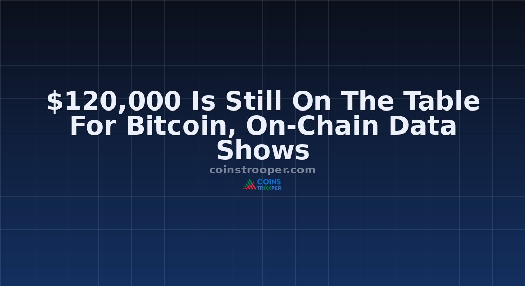 $120,000 Is Still On The Table For Bitcoin, On-Chain Data Shows