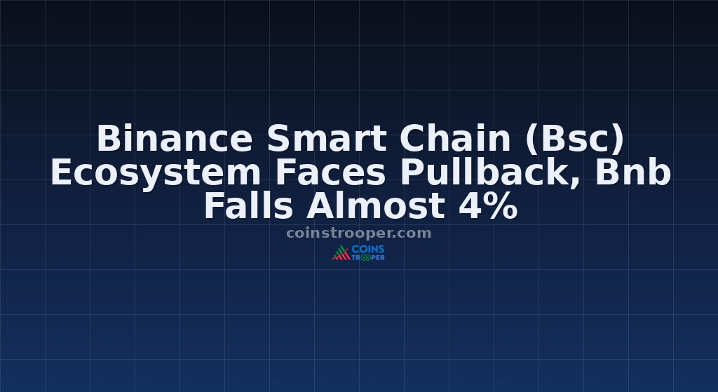 Binance Smart Chain (Bsc) Ecosystem Faces Pullback, Bnb Falls Almost 4%