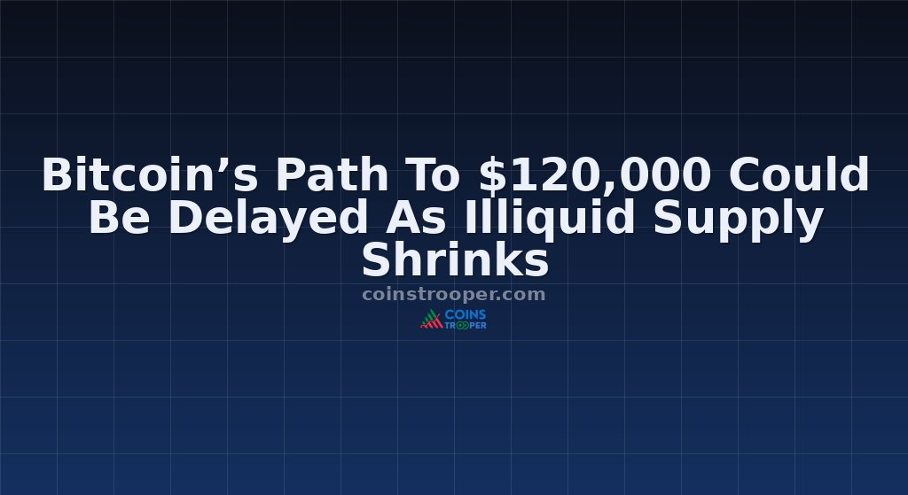 Bitcoin’s Path To $120,000 Could Be Delayed As Illiquid Supply Shrinks