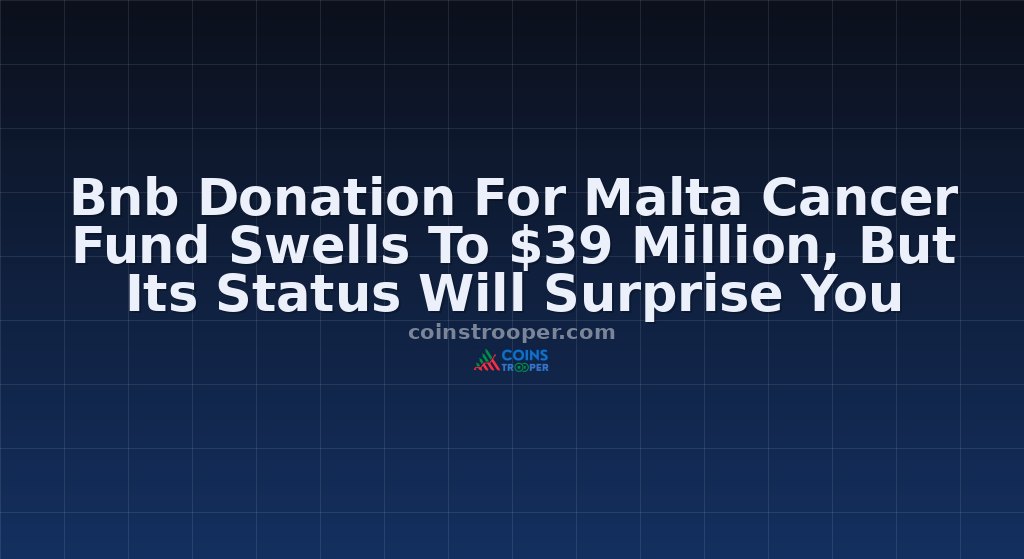 Bnb Donation For Malta Cancer Fund Swells To $39 Million, But Its Status Will Surprise You