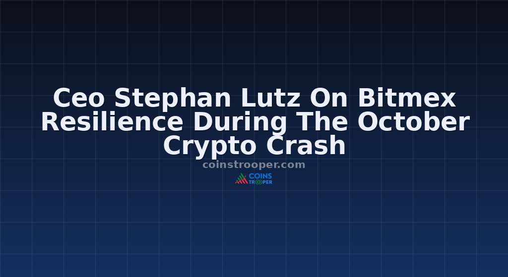 Ceo Stephan Lutz On Bitmex Resilience During The October Crypto Crash