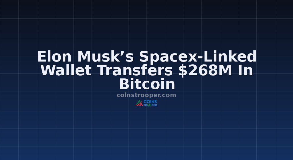 Elon Musk’s Spacex-Linked Wallet Transfers $268M In Bitcoin