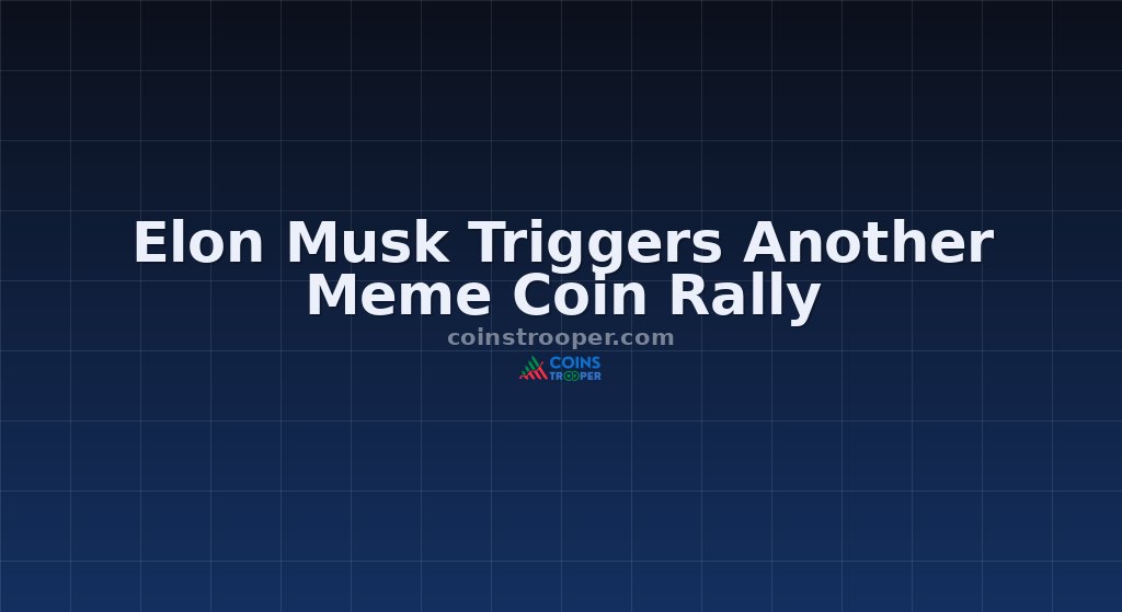 Elon Musk Triggers Another Meme Coin Rally
