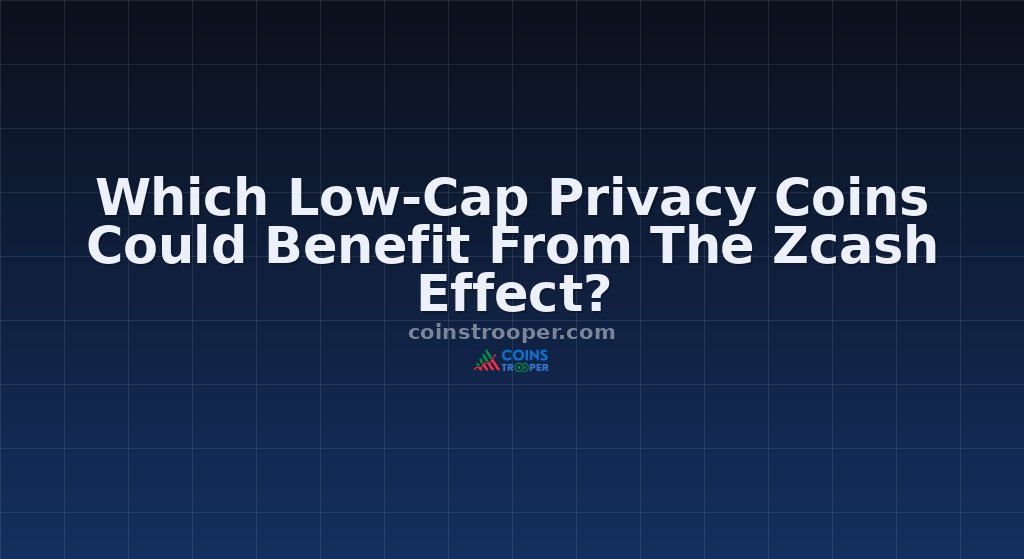 Which Low-Cap Privacy Coins Could Benefit From The Zcash Effect?