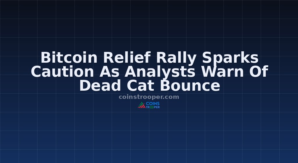 Bitcoin Relief Rally Sparks Caution As Analysts Warn Of Dead Cat Bounce