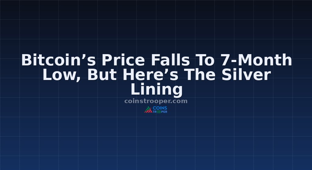 Bitcoin’s Price Falls To 7-Month Low, But Here’s The Silver Lining