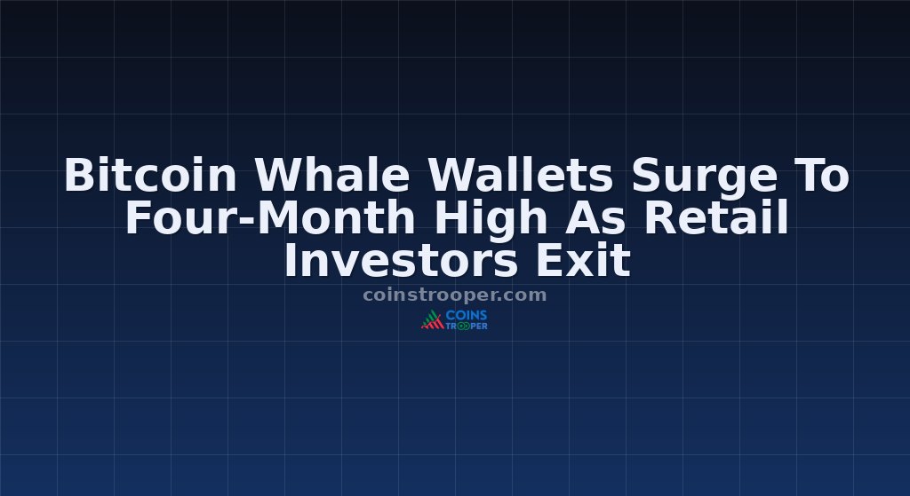 Bitcoin Whale Wallets Surge To Four-Month High As Retail Investors Exit