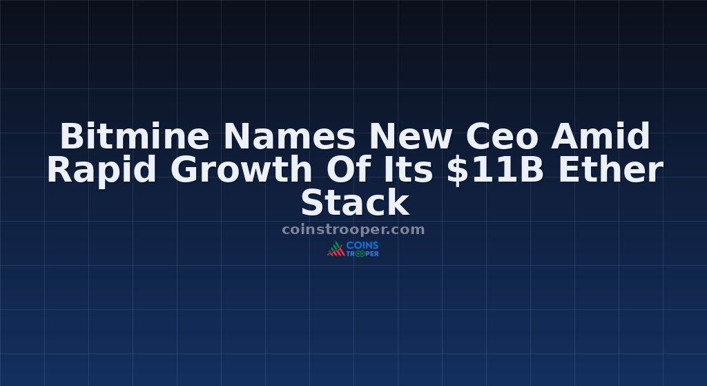 Bitmine Names New Ceo Amid Rapid Growth Of Its $11B Ether Stack