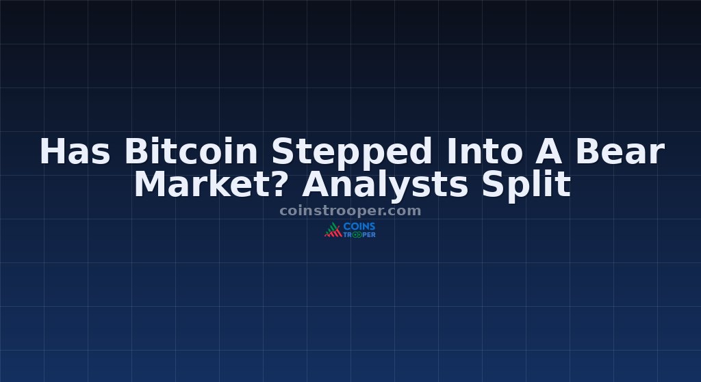 Has Bitcoin Stepped Into A Bear Market? Analysts Split