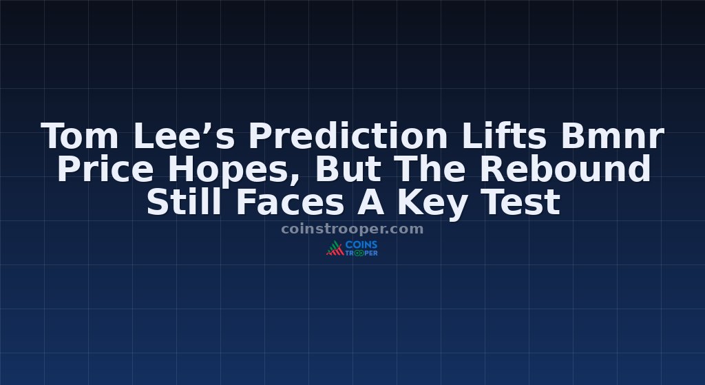 Tom Lee’s Prediction Lifts Bmnr Price Hopes, But The Rebound Still Faces A Key Test