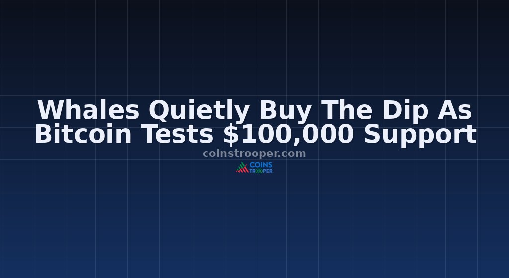 Whales Quietly Buy The Dip As Bitcoin Tests $100,000 Support 