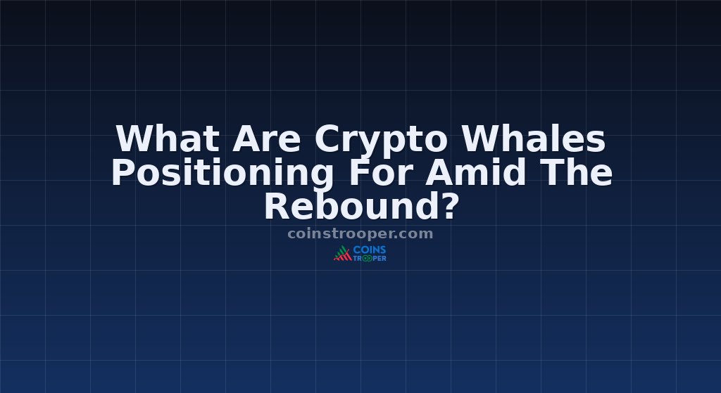 What Are Crypto Whales Positioning For Amid The Rebound?