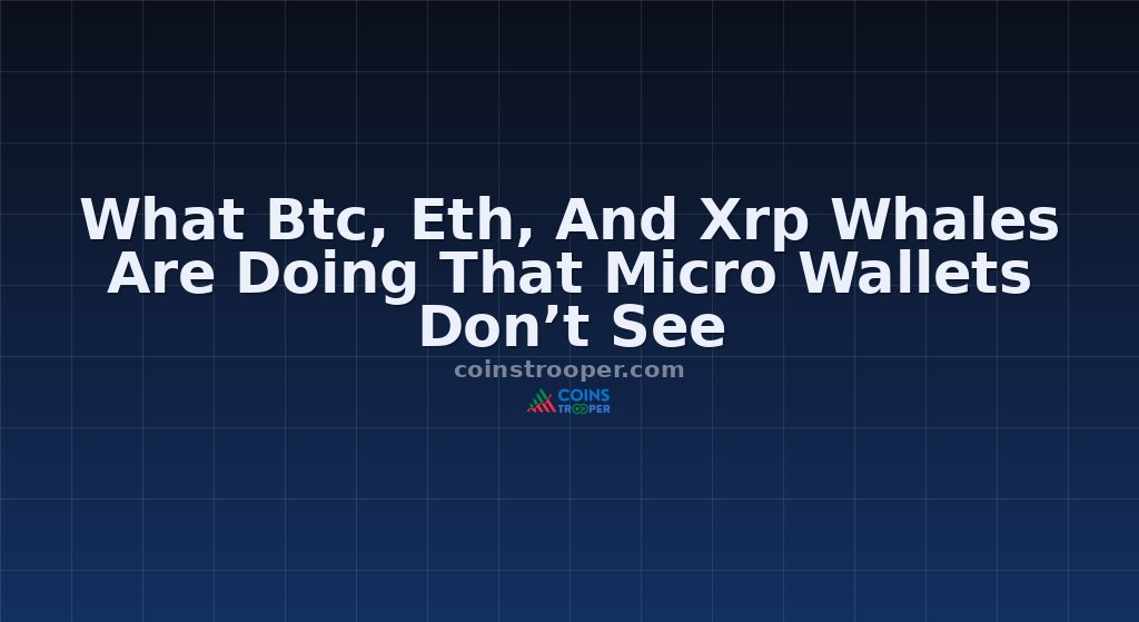 What Btc, Eth, And Xrp Whales Are Doing That Micro Wallets Don’t See