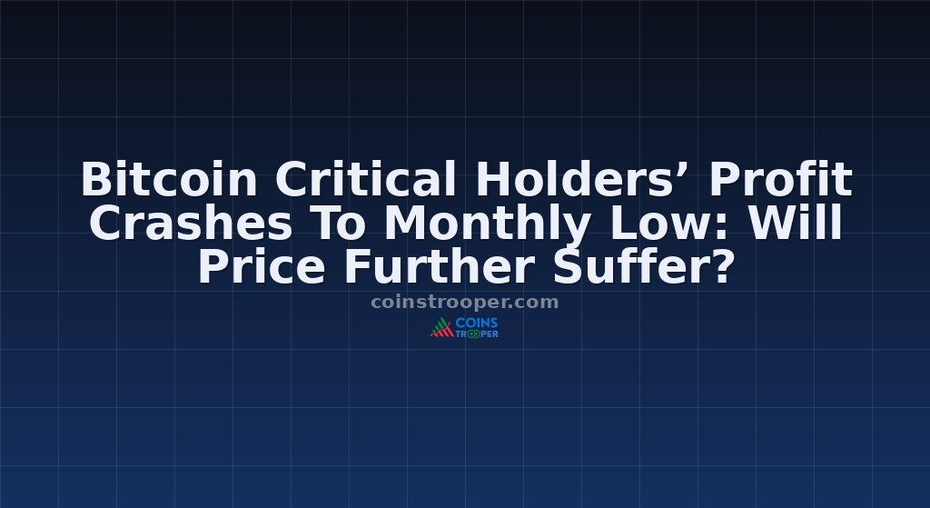 Bitcoin Critical Holders’ Profit Crashes To Monthly Low: Will Price Further Suffer?