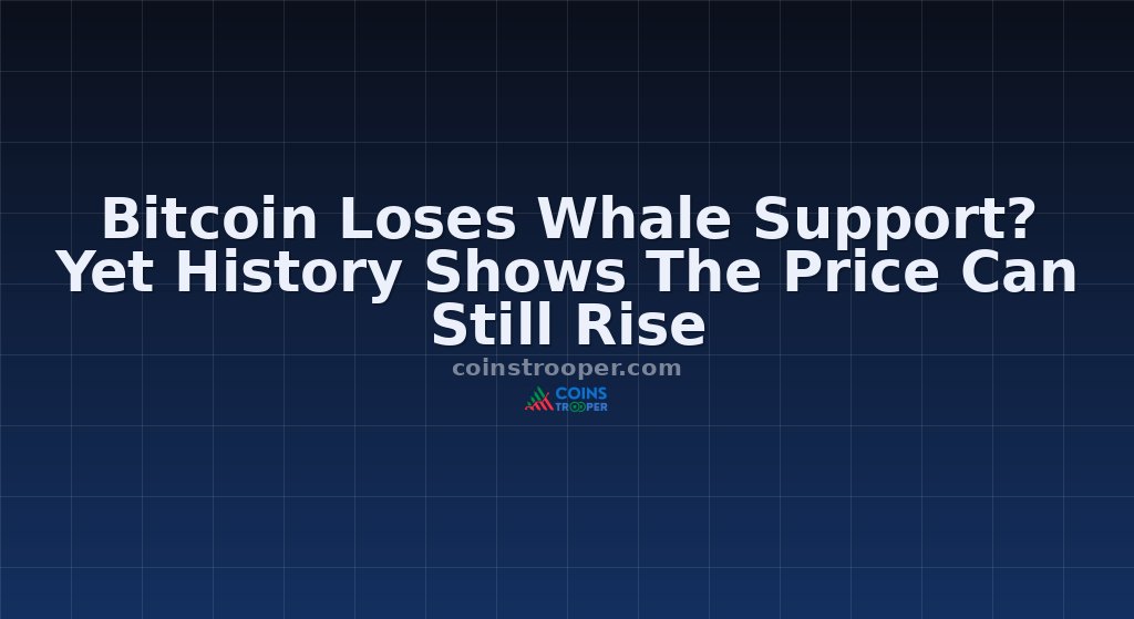 Bitcoin Loses Whale Support? Yet History Shows The Price Can Still Rise