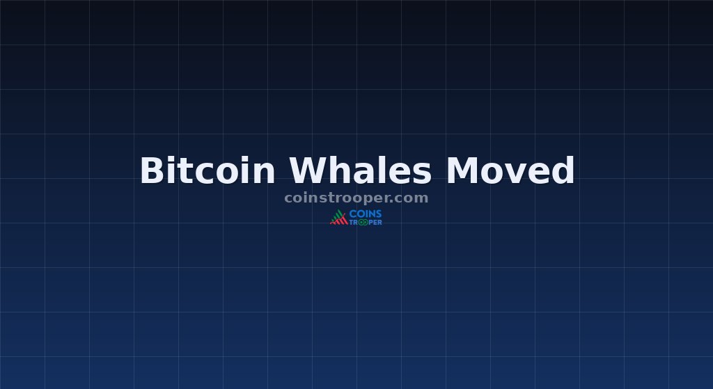 Bitcoin Whales Moved