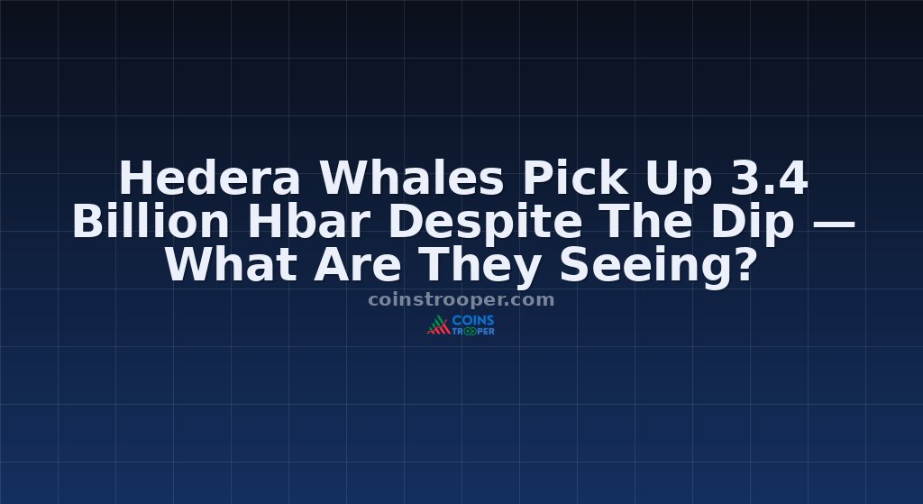 Hedera Whales Pick Up 3.4 Billion Hbar Despite The Dip — What Are They Seeing?