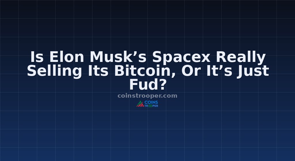 Is Elon Musk’s Spacex Really Selling Its Bitcoin, Or It’s Just Fud?