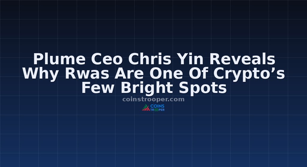 Plume Ceo Chris Yin Reveals Why Rwas Are One Of Crypto’s Few Bright Spots