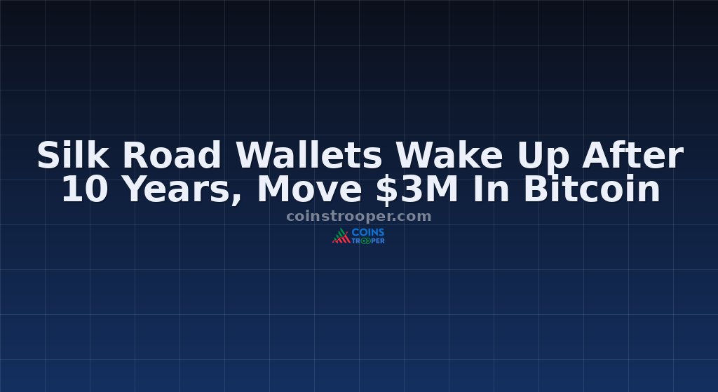 Silk Road Wallets Wake Up After 10 Years, Move $3M In Bitcoin