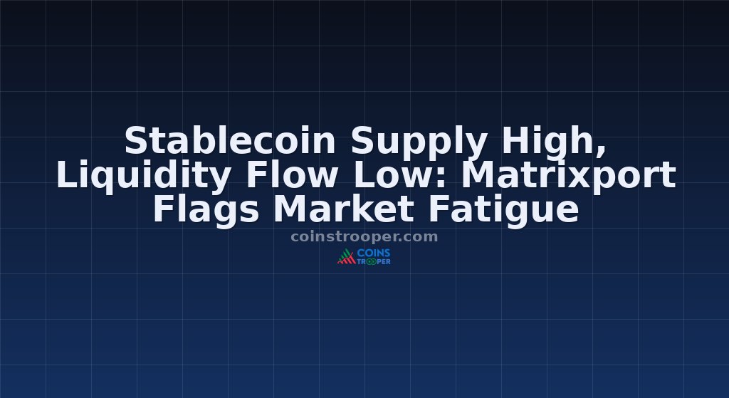 Stablecoin Supply High, Liquidity Flow Low: Matrixport Flags Market Fatigue
