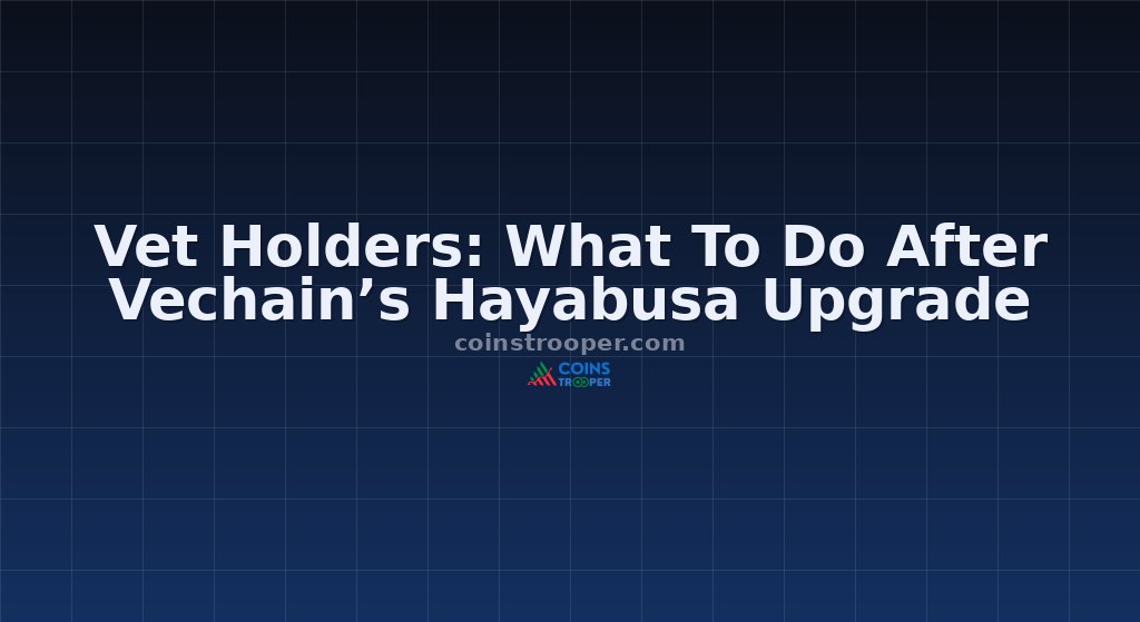 Vet Holders: What To Do After Vechain’s Hayabusa Upgrade