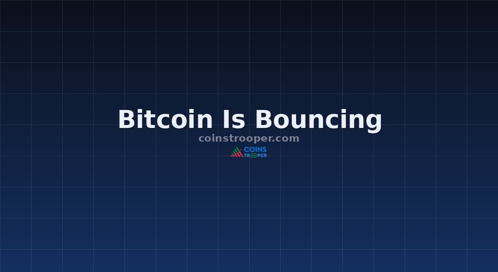 Bitcoin Is Bouncing