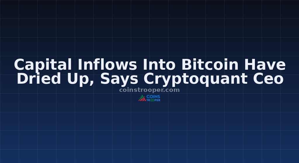 Capital Inflows Into Bitcoin Have Dried Up, Says Cryptoquant Ceo