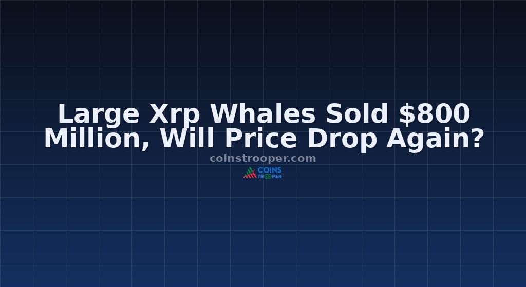 Large Xrp Whales Sold $800 Million, Will Price Drop Again?