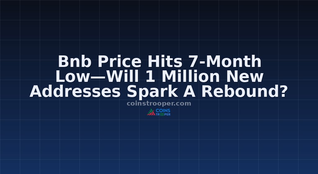 Bnb Price Hits 7-Month Low—Will 1 Million New Addresses Spark A Rebound?