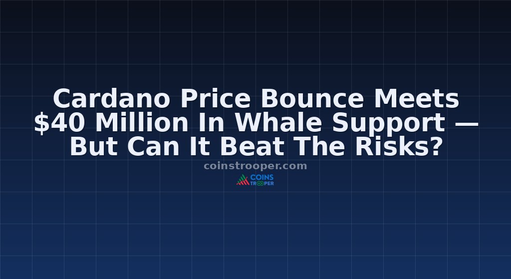 Cardano Price Bounce Meets $40 Million In Whale Support — But Can It Beat The Risks?