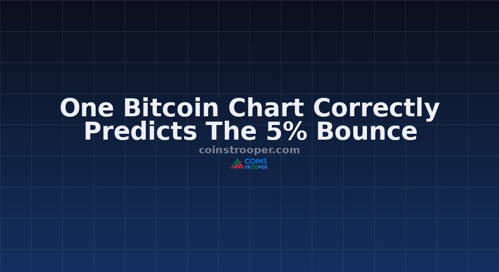One Bitcoin Chart Correctly Predicts The 5% Bounce