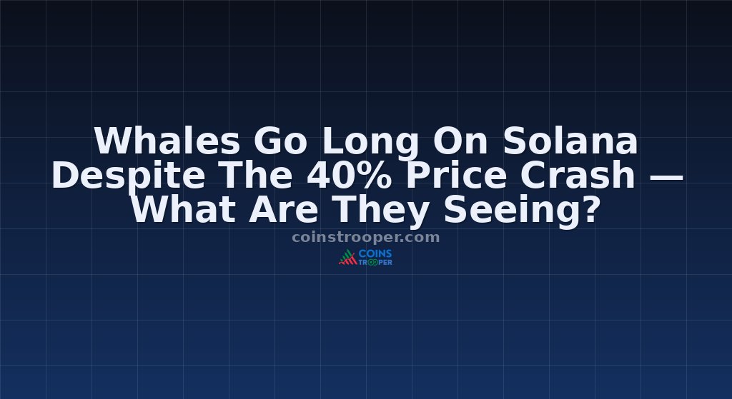 Whales Go Long On Solana Despite The 40% Price Crash — What Are They Seeing?
