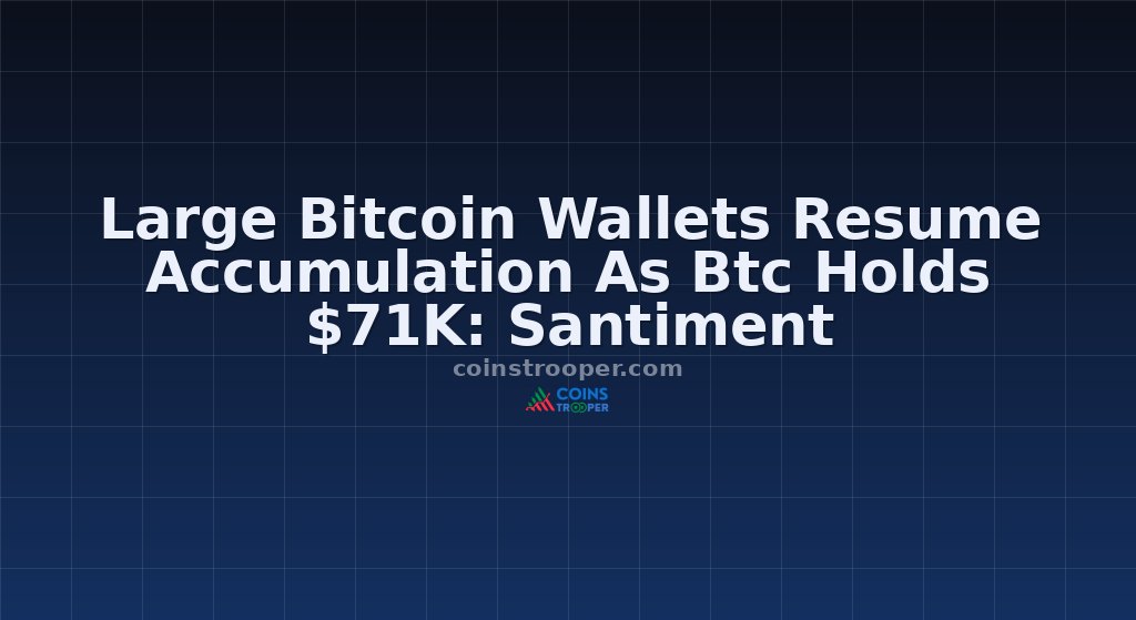 Large Bitcoin Wallets Resume Accumulation As Btc Holds $71K: Santiment