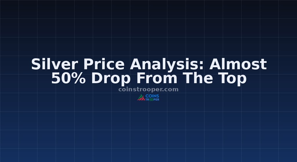 Silver Price Analysis: Almost 50% Drop From The Top