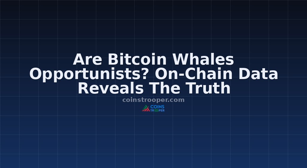 Are Bitcoin Whales Opportunists? On-Chain Data Reveals The Truth