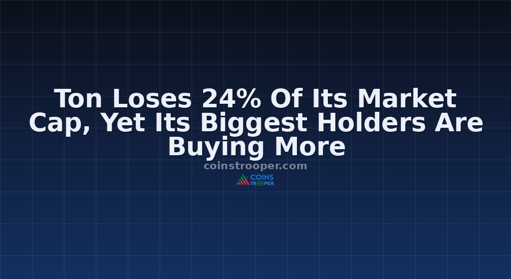 Ton Loses 24% Of Its Market Cap, Yet Its Biggest Holders Are Buying More