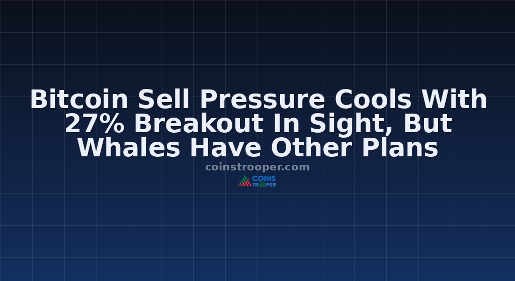 Bitcoin Sell Pressure Cools With 27% Breakout In Sight, But Whales Have Other Plans