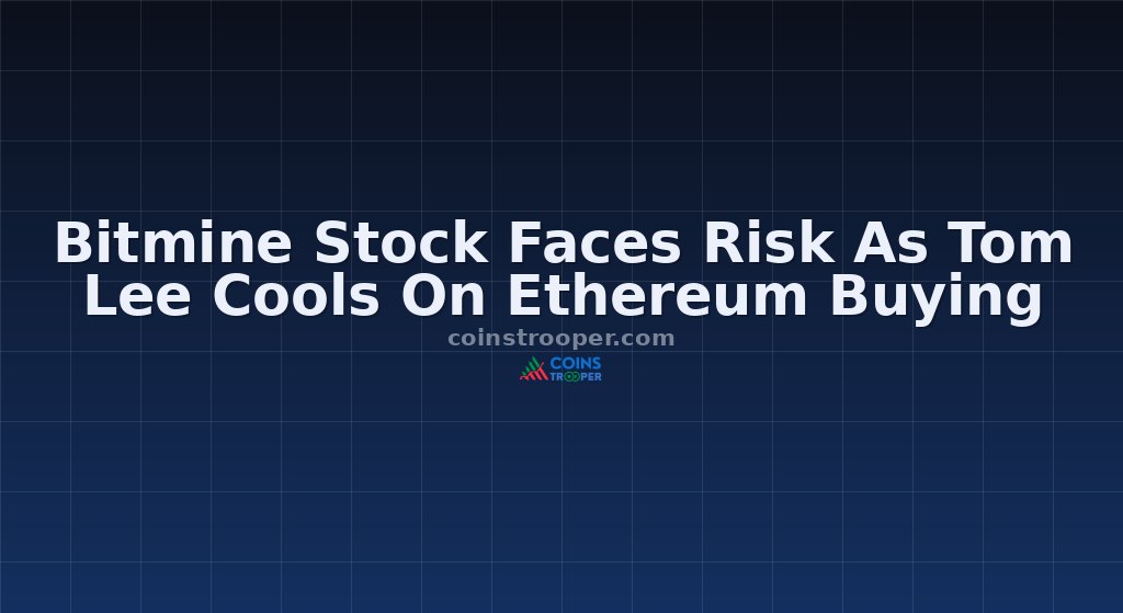 Bitmine Stock Faces Risk As Tom Lee Cools On Ethereum Buying