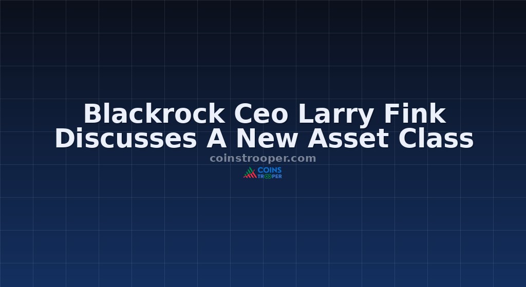 Blackrock Ceo Larry Fink Discusses A New Asset Class