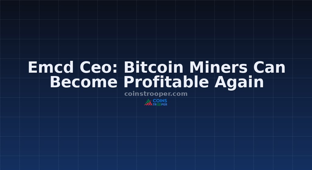 Emcd Ceo: Bitcoin Miners Can Become Profitable Again
