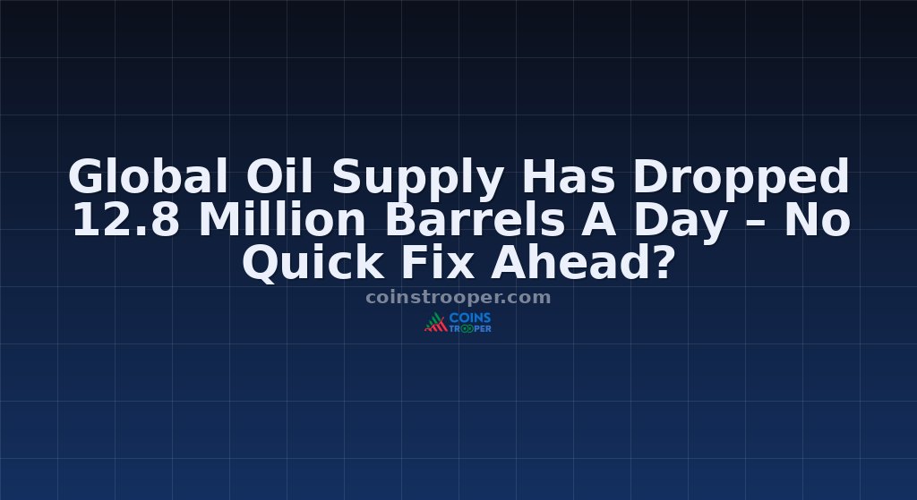 Global Oil Supply Has Dropped 12.8 Million Barrels A Day – No Quick Fix Ahead?