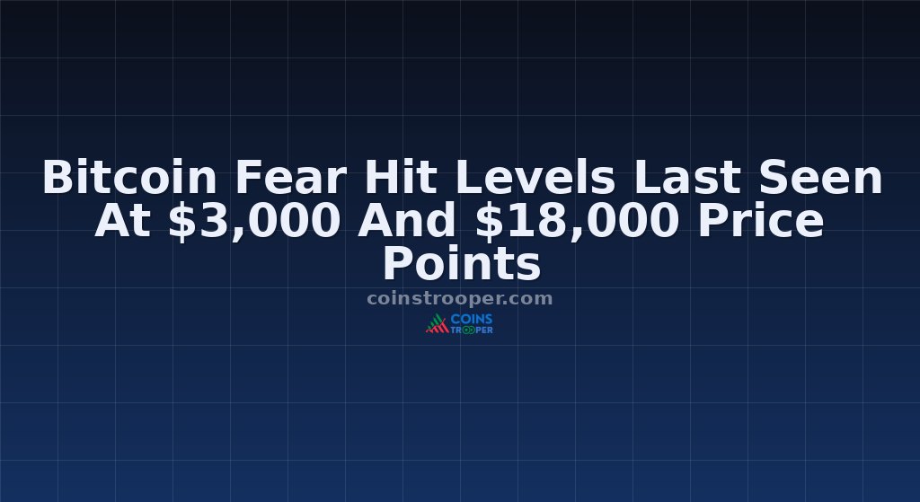Bitcoin Fear Hit Levels Last Seen At $3,000 And $18,000 Price Points
