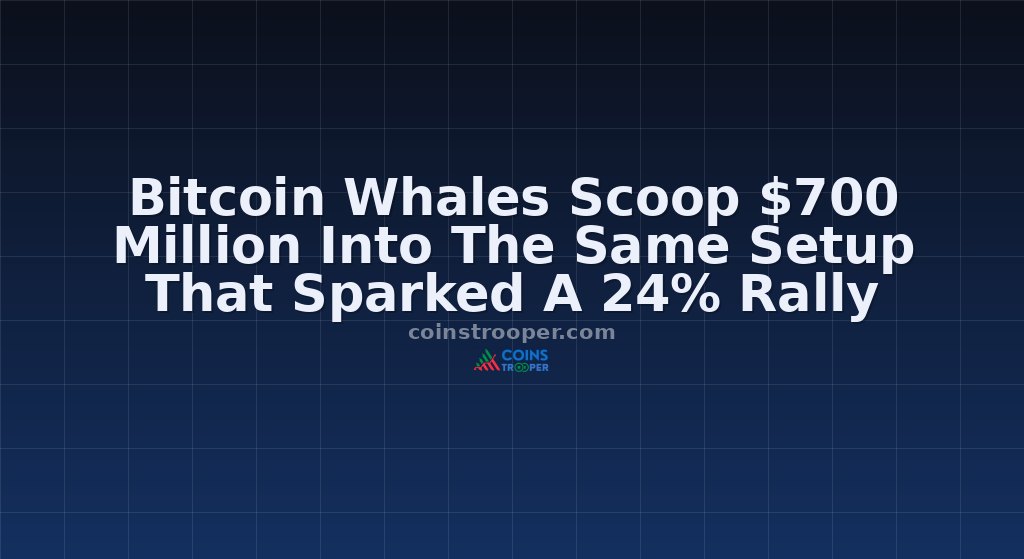 Bitcoin Whales Scoop $700 Million Into The Same Setup That Sparked A 24% Rally