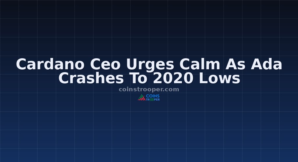 Cardano Ceo Urges Calm As Ada Crashes To 2020 Lows