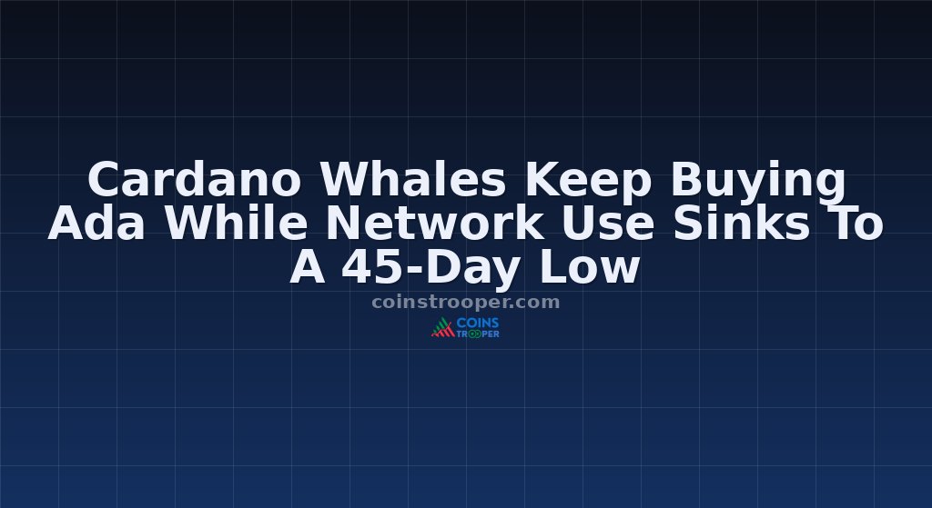 Cardano Whales Keep Buying Ada While Network Use Sinks To A 45-Day Low