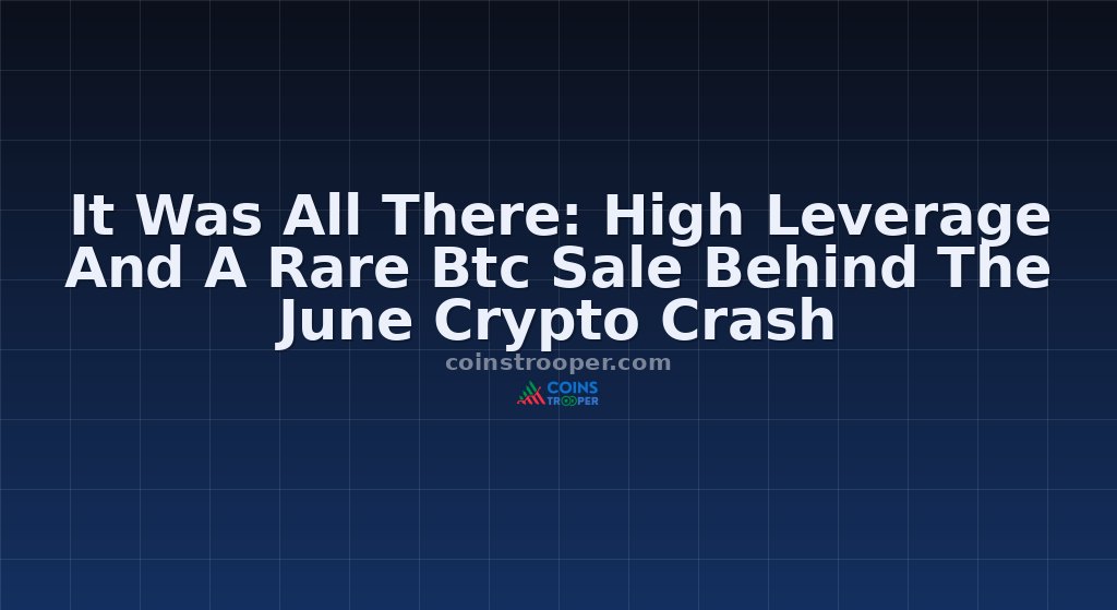 It Was All There: High Leverage And A Rare Btc Sale Behind The June Crypto Crash